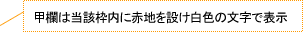 甲欄は当該枠内に赤地を設け白色の文字で表示