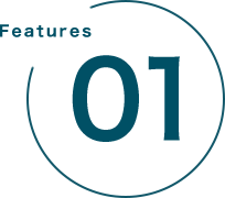 Feature 01