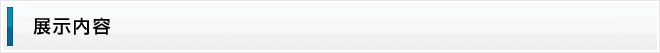 展示内容